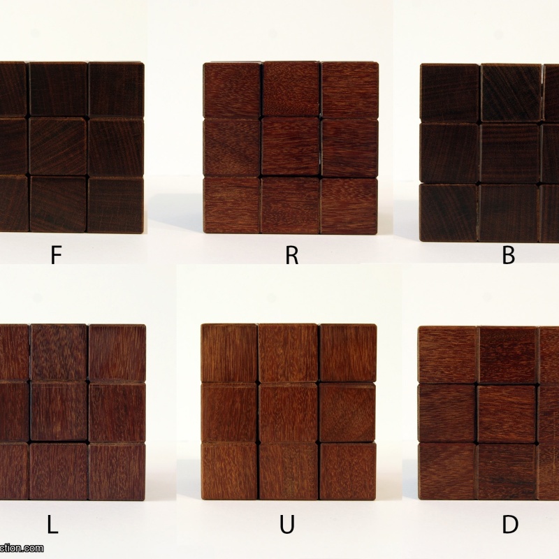 Gregory Benedetti - Daedelus (made by Maurice Vigouroux, 2011)