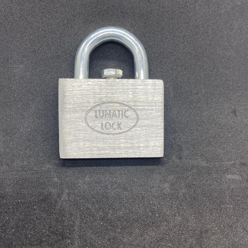 Lunatic Lock - by Gary Forshee