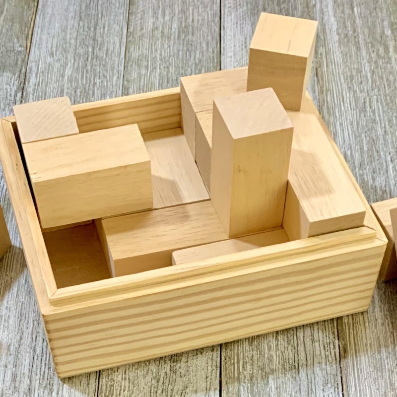 Wu T Like Tokyo Tetromino Puzzle IPP21