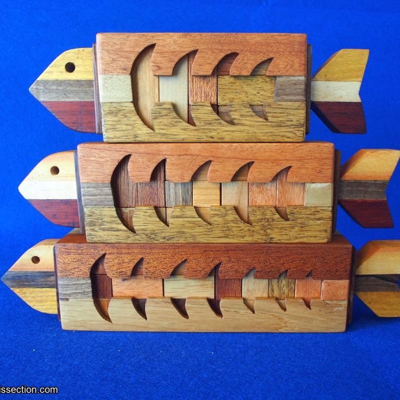 Fish Family