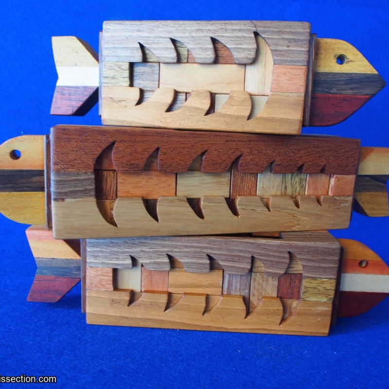 Fish Family