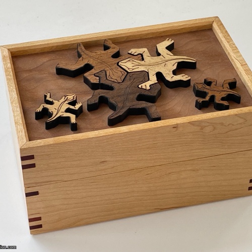 Free Me 8 Puzzle (The Reptile Box)