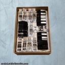 ICO  IPP 29  Eric Fuller