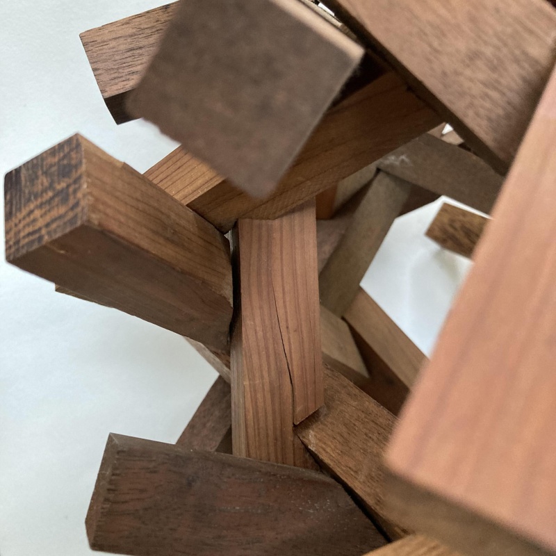 Spider's Web by Bill Cutler