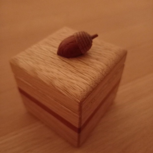 Acorn Puzzle Box