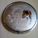 Buffalo Nickel Puzzle