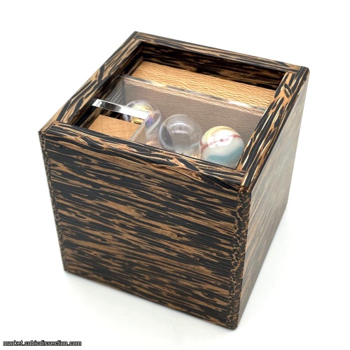 Triorchidism by William Ja (RPP)