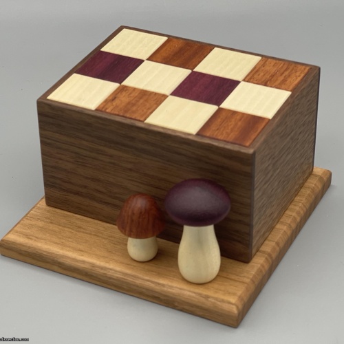 Kinoko Box by Kyoko Hoshino (HS-17-1)