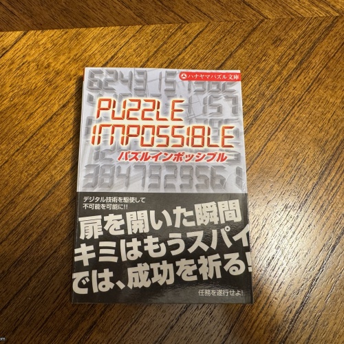 Hanayama Sliding Puzzle - Rare Sealed
