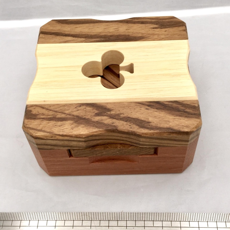 Club Case