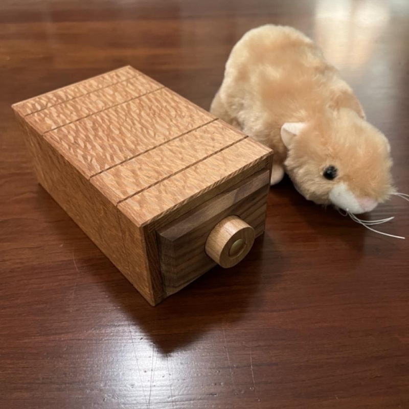 Noodling Box