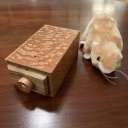 Noodling Box