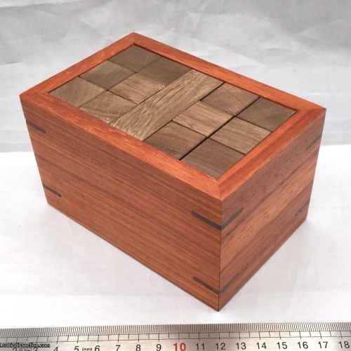 18 Burr Pieces Packing Puzzle