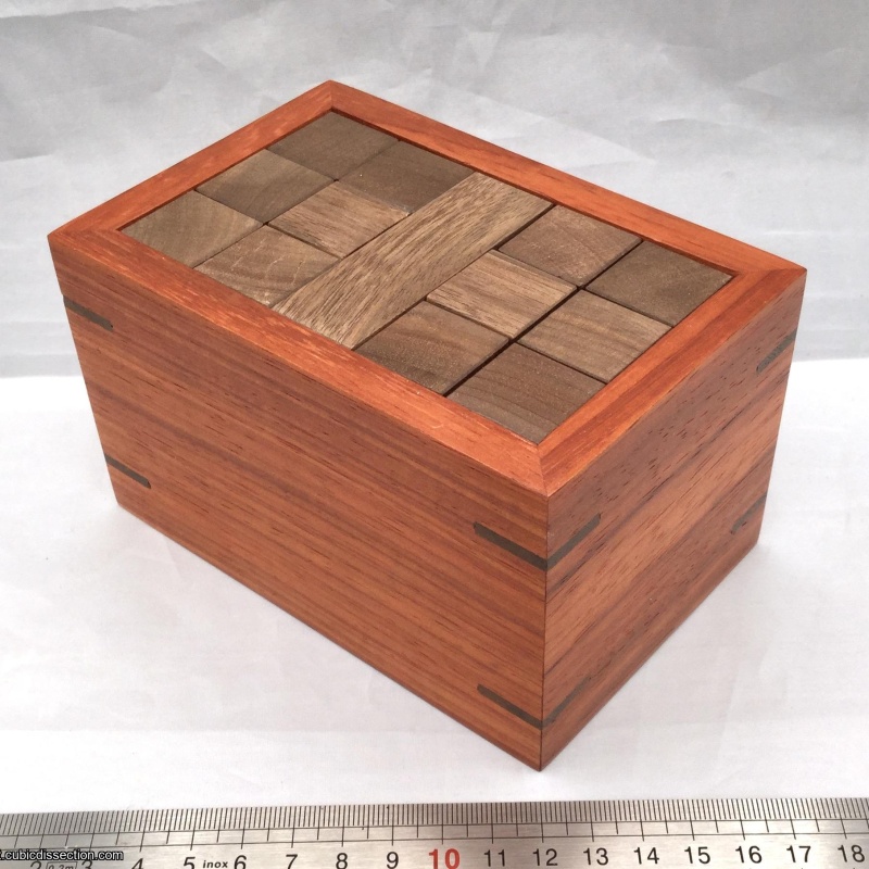 18 Burr Pieces Packing Puzzle