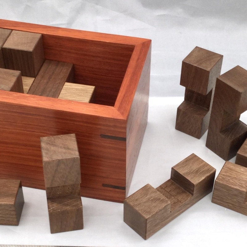 18 Burr Pieces Packing Puzzle