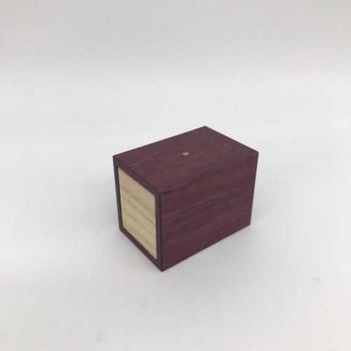 Tube It In by Wil Strijbos (RPP)