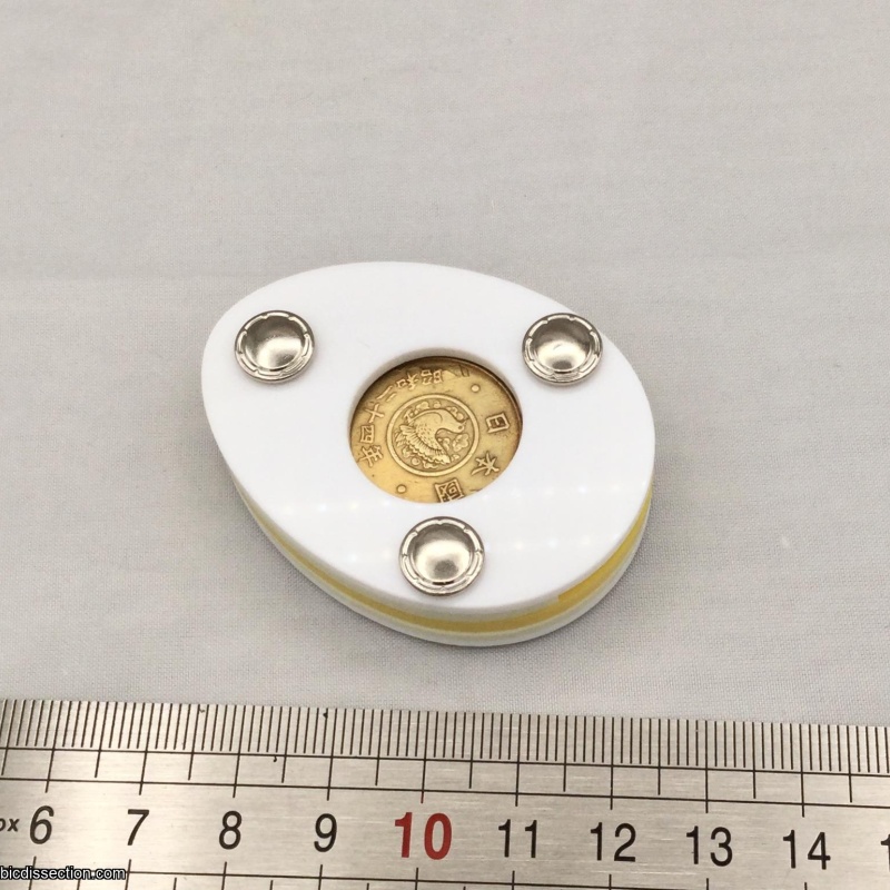 Hard-Boiled Coin