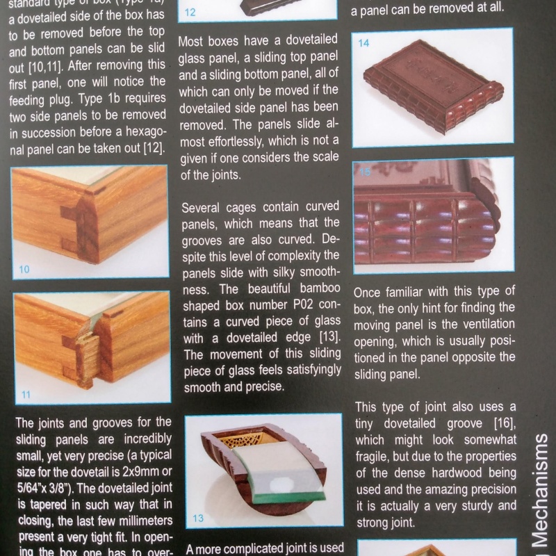 "Chinese Cricket Cages with Secret Openings" by Frans de Vreugd