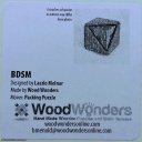 BDSM (Laszlo Molnar and Brian Menold)