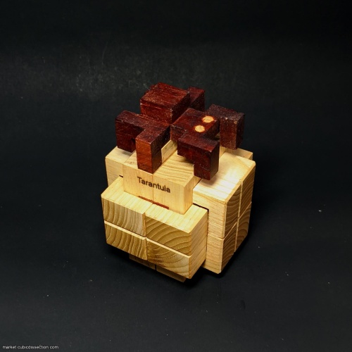 Tarantula by Alfons Eyckmans