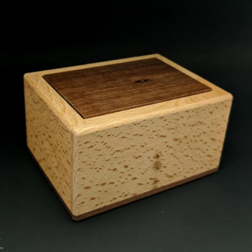 Spirit Box by Dee Dixon