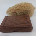 Open for Business #3/30 : Peter Wiltshire