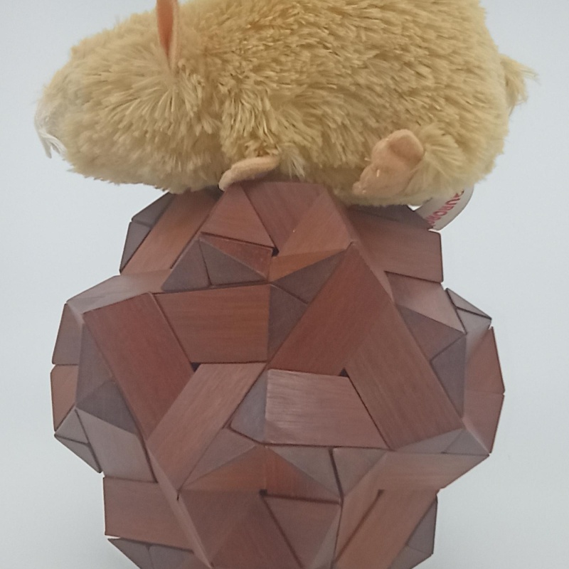 Jupiter Puzzle : Stewart Coffin