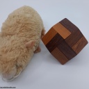 Garnet : #60 Stewart Coffin