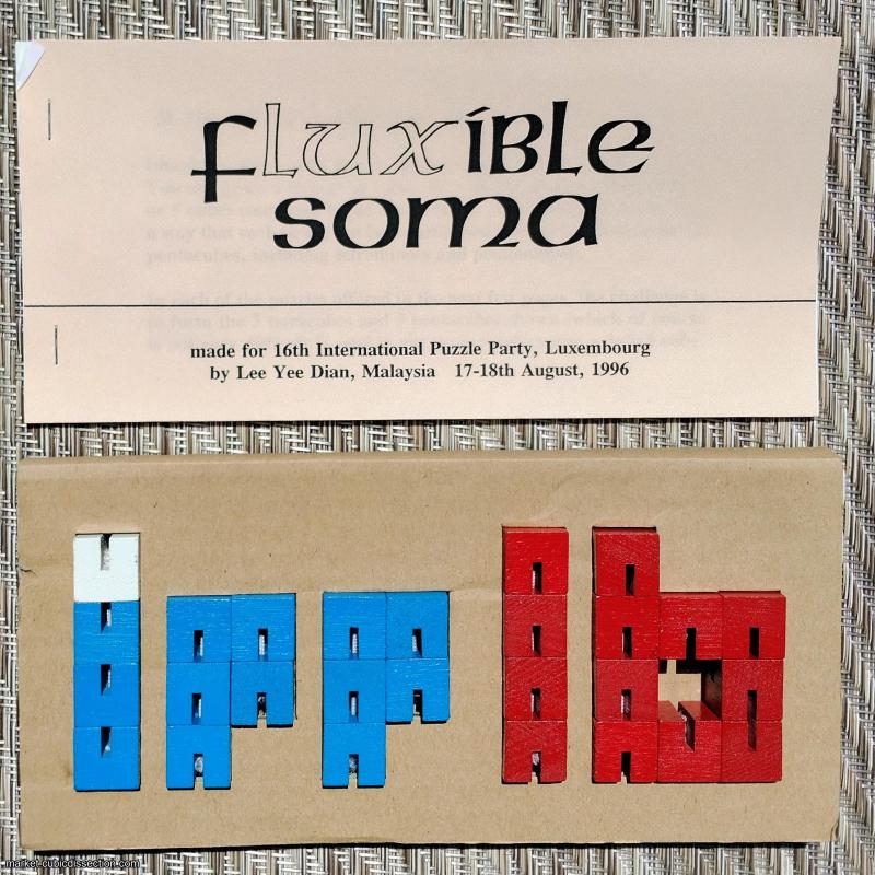 Fluxible Soma by Lee Yee Dian (IPP16 Luxembourg 1996)