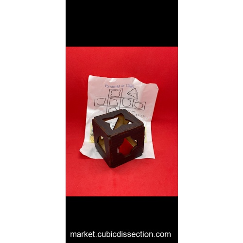 Pyramid In a Cage by Osho (Naoyuki Iwase)