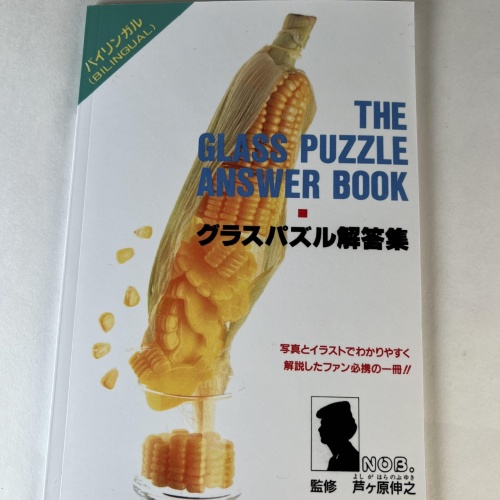 Toyo Glass Answer Book - NEW