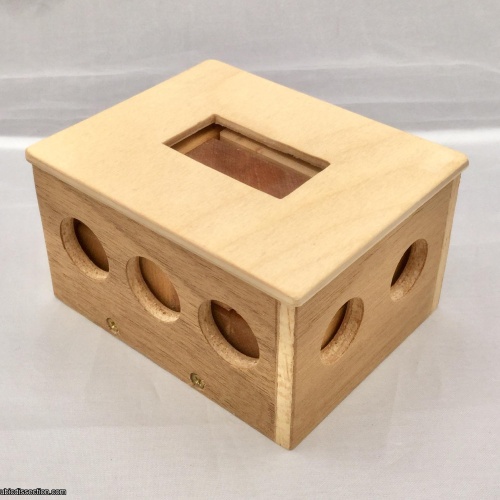 Piggy Box puzzle