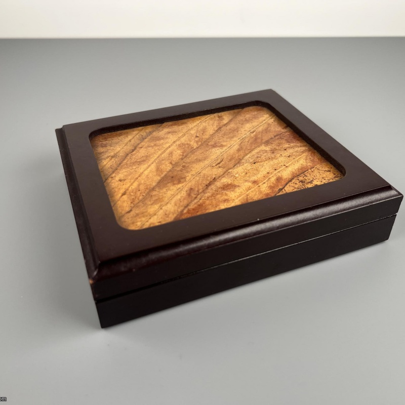 The First Black Swan Puzzle - Australia 1980 - Bronze -  Ilaria Logi