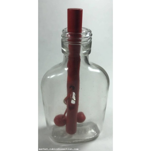 Power of the Ring Puzzle Bottle Wil Strijbos Eureka