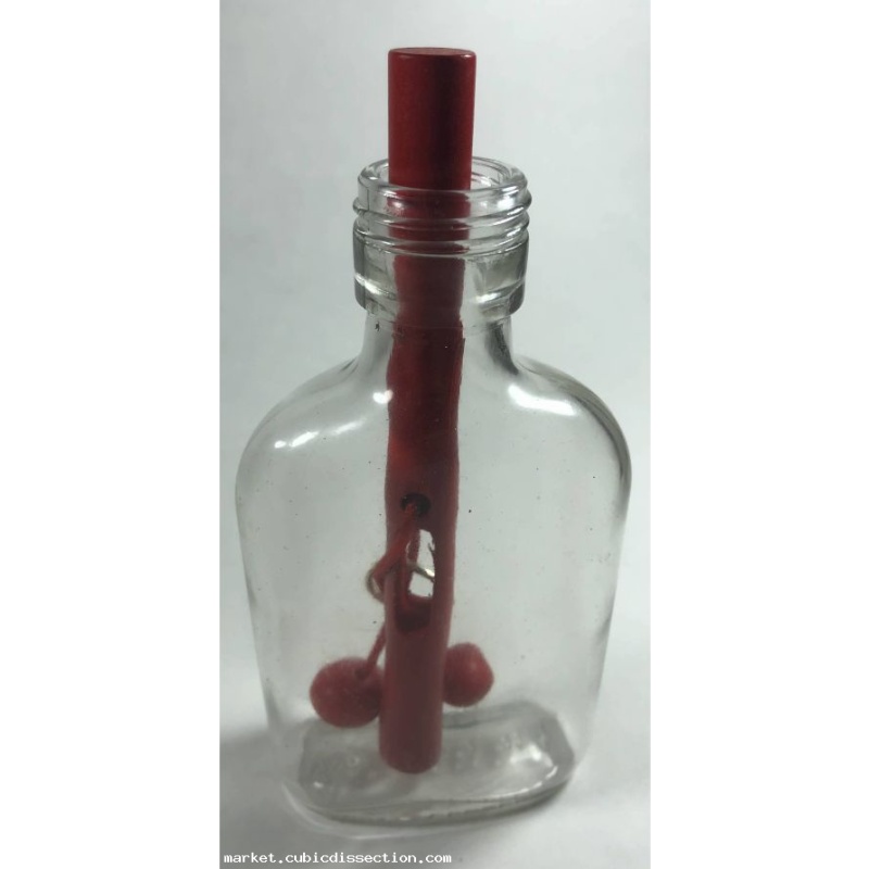 Power of the Ring Puzzle Bottle Wil Strijbos Eureka