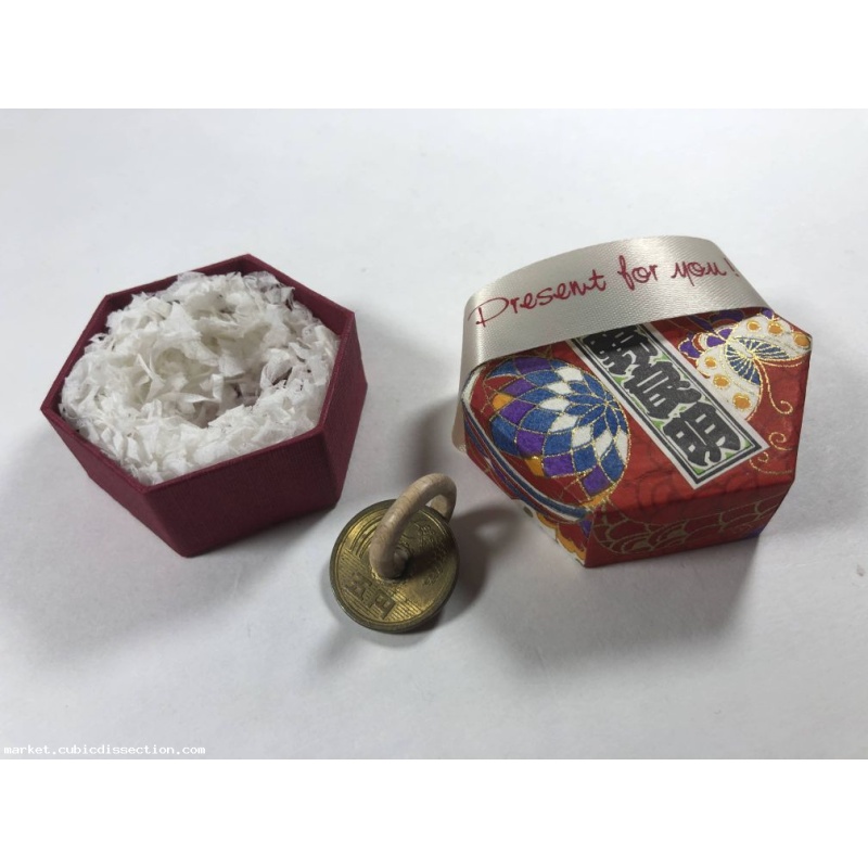 Wooden Ring Through Coin Impossible Object