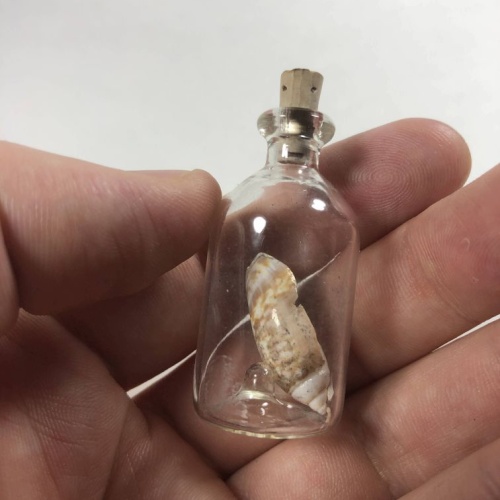 Impossible Object Shell in Glass Container