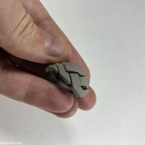 Oskar's OoO Ring 3D Printed Puzzle Size 10