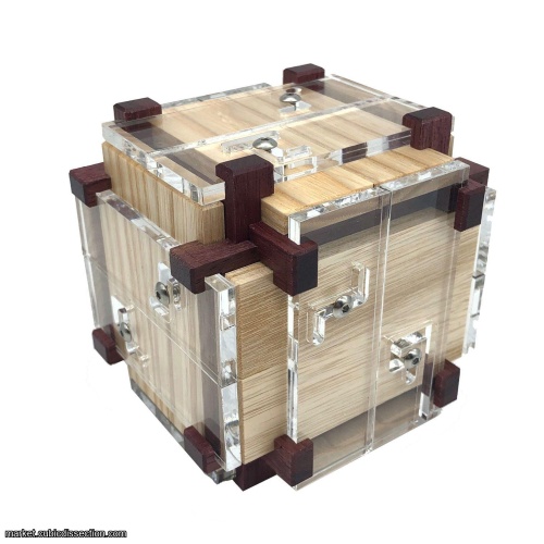 Split Maze Burr by Derek Bosch (RPP)