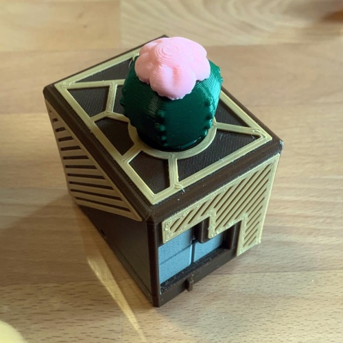 Cactus Cube by Ryan Sinatra
