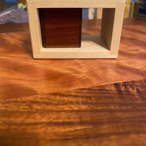 In a Cage by Shiro Tajima