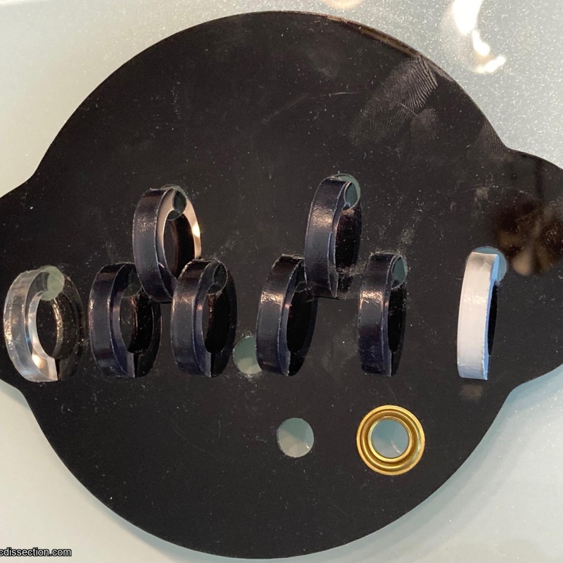 Ring Pierced Face (IPP25 exchange)