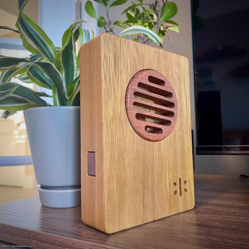 Walters Radio by Dee Dixon