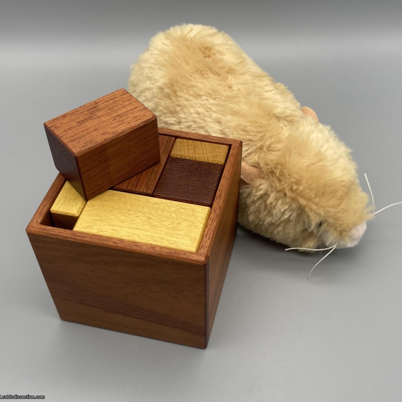 Conway Packing Problem (Tom Lensch)