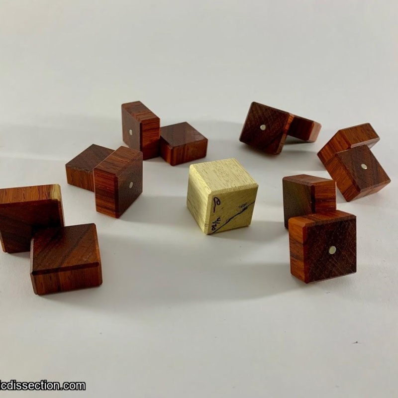 Surround (Padauk & Tamerindo)