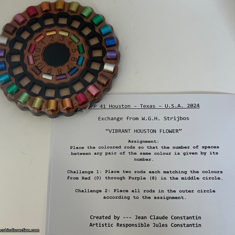 Vibrant Houston Flower Puzzle