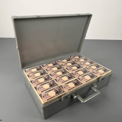 100,000,000 Yen Puzzle - Rare Packing Puzzle