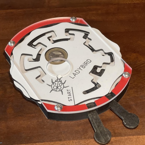 Ladybird by Robrecht Louage