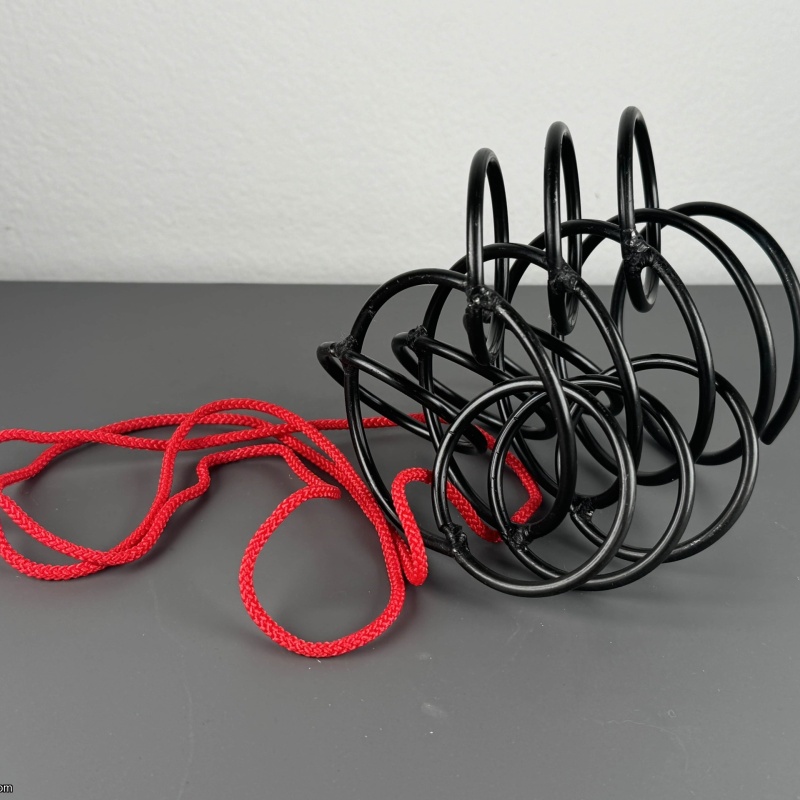 Unknown Disentanglement - Japanese