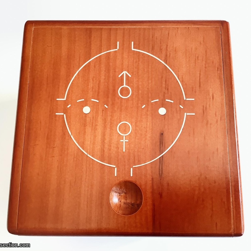 MAZE PUZZLE BOX BANK #1